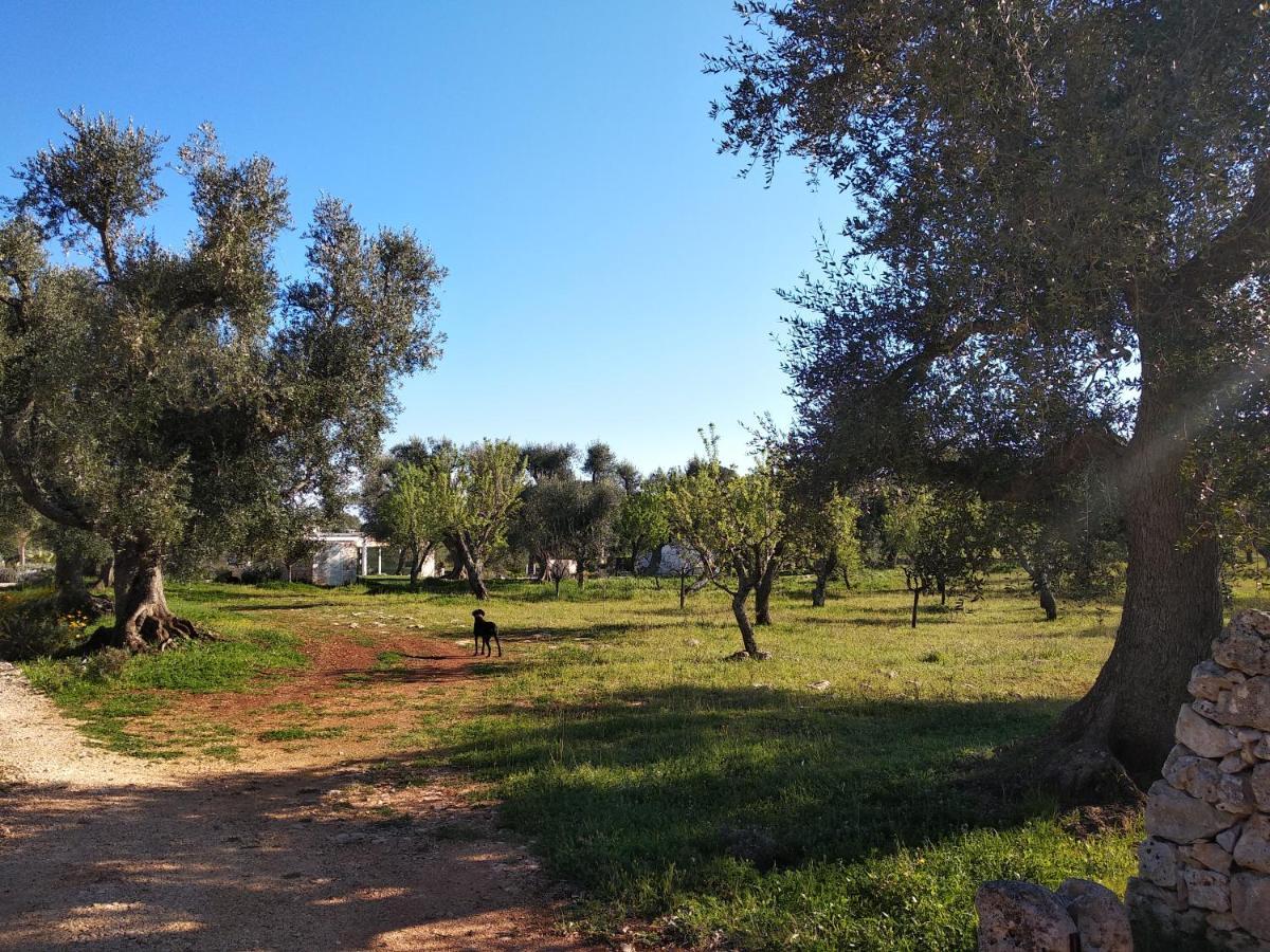 Piccolo Trullo Ostunese Le Jardin De Sophie' Остуни Екстериор снимка