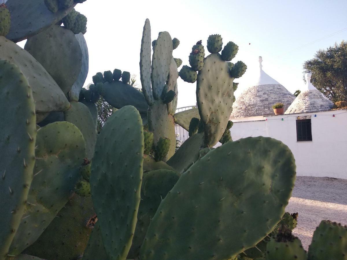 Piccolo Trullo Ostunese Le Jardin De Sophie' Остуни Екстериор снимка