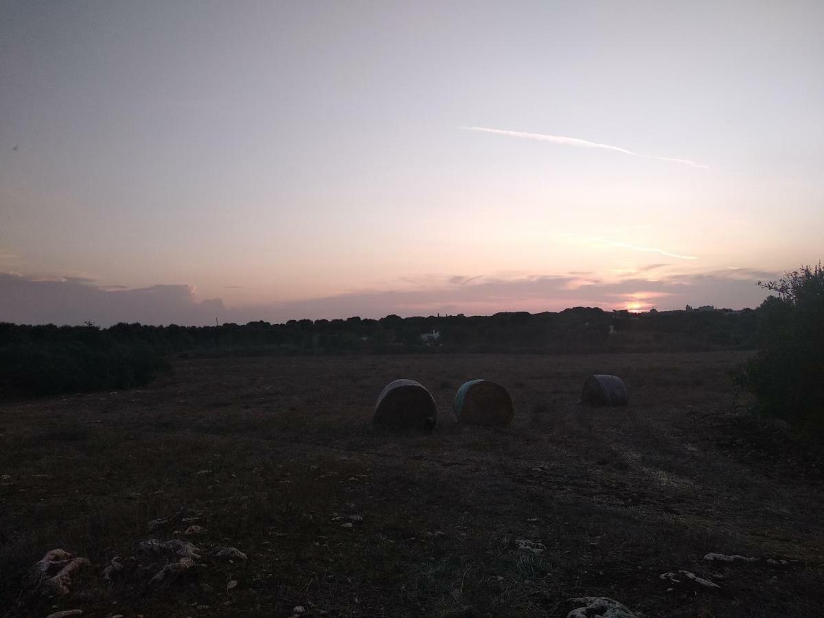Piccolo Trullo Ostunese Le Jardin De Sophie' Остуни Екстериор снимка
